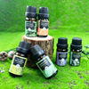  100% Pure Natural Essential Oil Set 