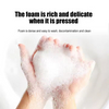 Moisturizing Foam Hand Wash Pod