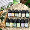  100% Pure Natural Essential Oil Set 